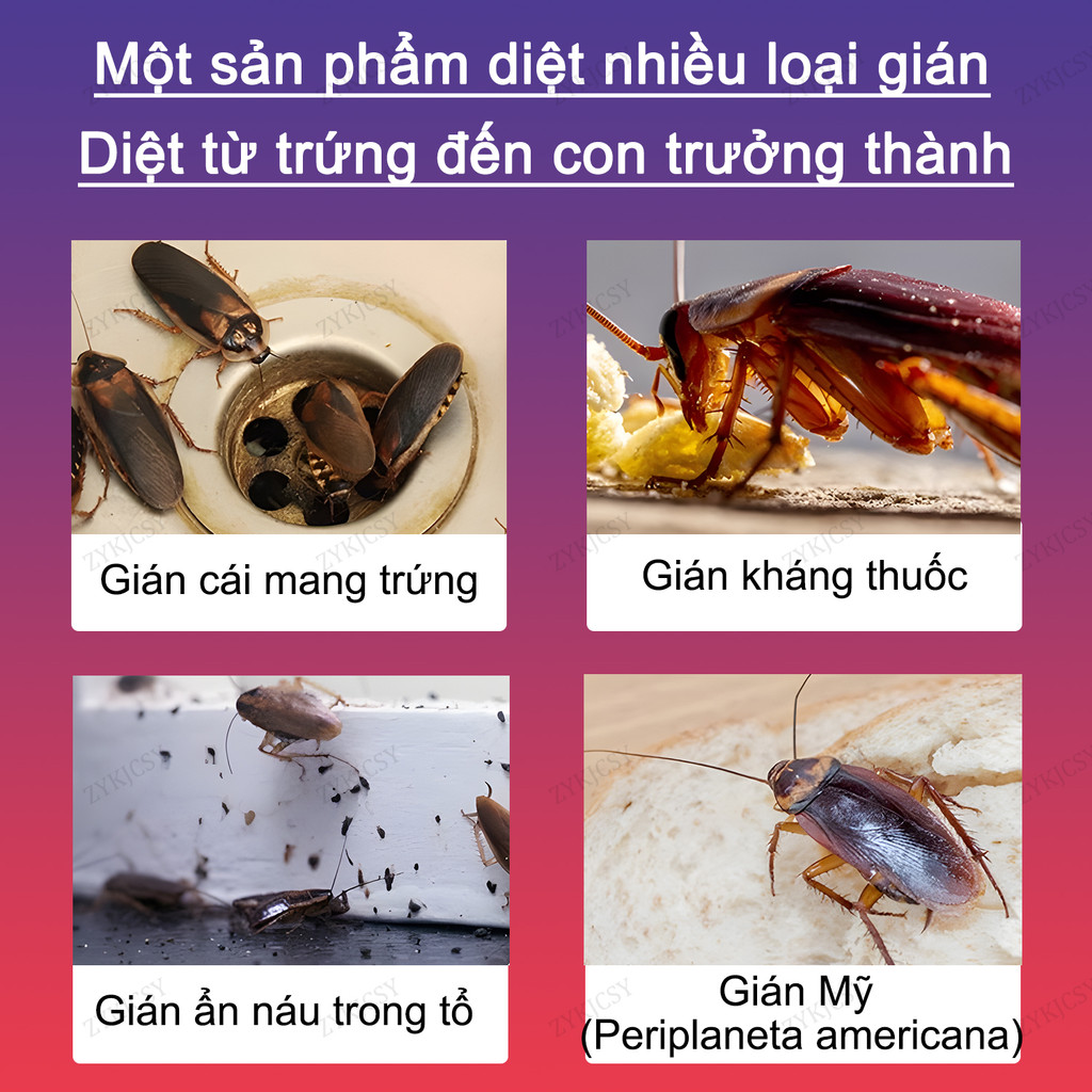 【Nhập khẩu từ Nhật Bản】Giết chết toàn bộ tổ gián Gián chết hàng loạt diệt gián diệt gián diệt gián nhật bản diệt gián sinh học diệt gián đức