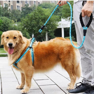 Nhỏ Vừa Chó Kích Thước Chống Cháy Nổ Đấm Đồ Cho Thú Cưng Dây Xích Chó Dây Xích Chó Phản Quang Có Thể Điều Chỉnh Chó Đi Bộ Dây Xích