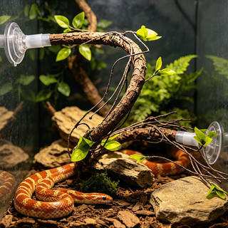 Cốc hút Mô phỏng Vine Cá rô Bò sát Terrarium Trang trí Chi nhánh cho tắc kè Rắn thằn lằn Rùa