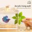 【Pet House】Bể Cá Betta Bể Cá Mini Bể Cá Bằng Nhựa Cho Gia Đình Với Mô Hình Xếp Hình Bể Cá Mini Để Bàn