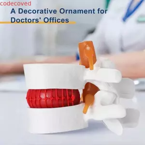 Mô hình thắt lưng CODECOVED, Mô hình 3D 1.5X Phóng to Mô hình bộ xương giải phẫu con người, Mô phỏng Công cụ giáo dục nén Trình diễn Công cụ giảng dạy thoát vị đĩa thắt lưng