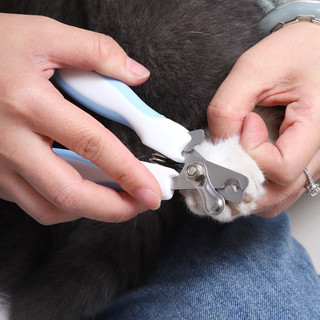 Pet Nail Clipper Lưỡi hợp kim Tay cầm tai thỏ có tập tin
