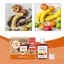 Fruit Fly Refill Liquid 30ml Gnat Trap Lure Refill Liquid Long Lasting Gnat Catcher Mồi cho nhà hàng tại nhà Sân vườn ngoài trời jiwvn