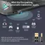 USB Bluetooth6.0 Dongle Bluetooth6.0 Bộ Thu Phát Cho Bàn Phím Bluetooth Chuột Tai Nghe Loa