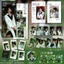 Bán Sản Phẩm Mới Tian Jiarui Basa Lễ Hội Phố Cổ Hỗ Trợ Hàng Hóa Photocard Bưu Thiếp Laser Vé Họa Tiết Mờ HD ins Phong Cách Chất Lượng Cao