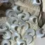 Bluelover Dễ Thương Cổ Tích Phong Cách Mặt Trăng Mặt Dây Chuyền Xương Đòn Dây Xích Nelace Thích Hợp Cho Nữ Trang Sức Phụ Kiện Quà Tặng Mới