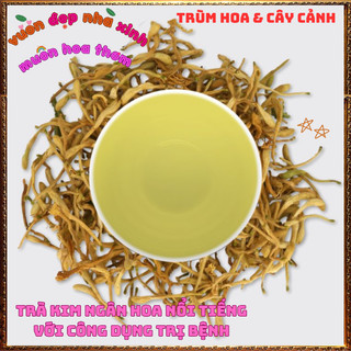 Chậu Cây KIM NGÂN HOA VÀNG Leo Hương Thơm Dịu Dược Liệu Qúy Nở Rộ Siêu Đẹp ⌛VƯỜN HOA CỔ TÍCH