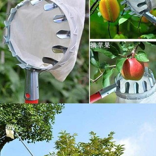 vợt đầu sào hái trái cây trên cao,dụng cụ hái trái cây