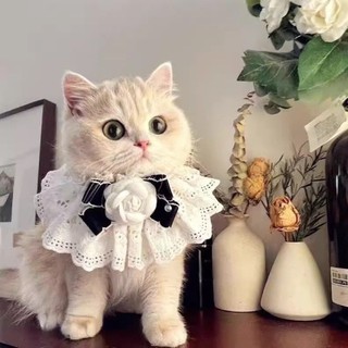 Nơ Dễ Thương Cổ Tích Mèo Nước Bọt Khăn Vòng Cổ Yếm