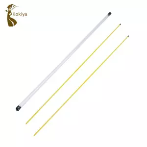 Gậy căn chỉnh Golf 2 mảnh, Huấn luyện viên gậy golf di động có ống lưu trữ trong suốt cho thiết bị tập luyện
