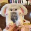 Hộp đựng thẻ ảnh CHEESELY, Photocard sang trọng đa chức năng, Thỏ tai lớn / Thẻ Collie viền chất lượng cao dành cho học sinh