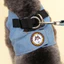 Chó Dây Xích Chó Dây Xích Áo Vest Phong Cách Dây Đeo Ngực Chó Dây Xích Teddy Bichon Cao Bồi Ngực Lưng Đồ Dùng Cho Thú Cưng 6.26 C8HQ