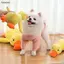 Luckyew Đồ chơi cho chó Tough - Squeaky Sang trọng cho chó nhỏ & Đồ chơi nhai không thể phá hủy cho các giống lớn, Đồ chơi cho chó con mọc răng TQ