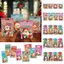 TUYỆT VỜI 50 Túi Quà Giáng Sinh, Phim Hoạt Hình Ông Già Noel Hươu Nhiều Màu Túi Bao Bì Giáng Sinh, Hỗn Hợp Bánh Quy Đồ Ăn Nhẹ Với Dây Kéo Tự Dán Cây Giáng Sinh Túi Kẹo Người Tuyết