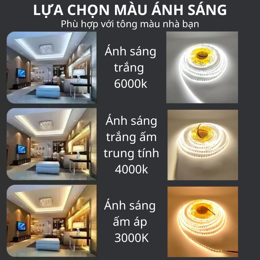 Cuộn LED Dán 12V 2835 120-180-240-320 Mắt 8mm-10mm Cuộn Dài 5 Mét Siêu Sáng Ánh Sáng Đều Mịn Dễ Thi Công