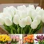 MAKY Nhân Tạo Hoa Tulip Giả Bó Hoa Giả Cảm Ứng Thật Nhà Tiệc Cưới Trang Trí VN