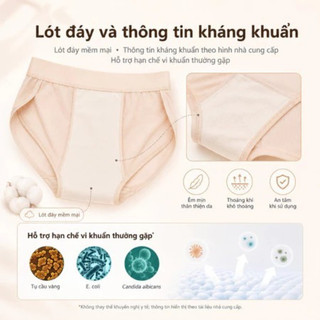 Quần độn mông 3D không lộ viền – Nâng mông tự nhiên, ôm gọn, mặc êm – Mềm mại, thoải mái – Độ dày 1,6cm / 2,5cm