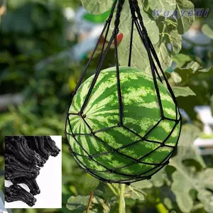 WANYEDI Dưa Võng Làm Vườn Giữ Trái Cây Trồng Bí Ngô Hỗ Trợ