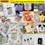 SUNKISSD Sang Trọng Photocard, Phim Hoạt Hình Sinh Viên Đựng Thẻ Photocard, Hình Tượng Dễ Thương Hình Ảnh Bảo Vệ Túi Móc Khóa Hình Ngôi Sao Hộp Đựng Thẻ Ảnh