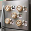 QEARY Dim Sum Nam châm tủ lạnh, Nam châm tủ lạnh bánh bao bằng nhựa, In 3D sáng tạo Nhãn DIY Trang trí tủ lạnh nhà bếp thực tế