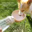 Bình nước cho chó ngoài trời 350ml Cốc uống nước cho thú cưng ăn chống rò rỉ di động để đi bộ đường dài và đi bộ [VN]
