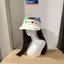MAKY Hoạt Hình Dễ Thương Tai Mèo Tấm Che Nắng Chống Tia UV Có Thể Gập Lại Mũ Mềm Cho Gia Đình Mùa Hè Kỳ Nghỉ Chuyến Đi Trẻ Em Người Lớn VN