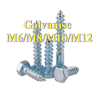 vít phong mạ kẽm M6 M8 M10 M12 * L20-200mm [LXY-CB-1]