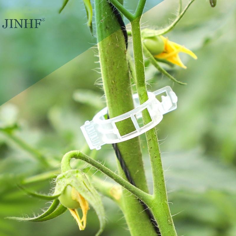 JINHF 100 Kẹp Nhựa Trong Suốt Cố Định Cây Leo, Hỗ Trợ Cà Chua, Nho, Trellis, Vườn