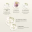 Serum Oh Oh Dark Spot Fading | Tinh Chất Kiểm Soát Sắc Tố Toàn Diện & Chống Lão Hóa Từ Tự Nhiên
