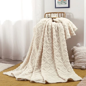Taffe Chăn Lông Cừu Flannel Chăn Chăn Chăn San Hô Lông Cừu Chăn Văn Phòng Ngủ Chăn Lông Cừu B26062203
