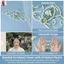 Mũ lưỡi trai giả màu xanh lá cây đính cườm cho nữ Hanfu Phụ kiện tóc truyền thống có thể điều chỉnh Chụp ảnh sân khấu thanh lịch