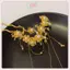 JRP Trung Quốc Hanfu Phụ Kiện Tóc Cho Nữ Hoa sel Tóc Nĩa Truyền Thống Kẹp Tóc Vintage Mũ Đội Đầu JRP