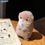 Bluelover Hoạt Hình Dễ Thương Otters Cầm Cá Búp Bê Sang Trọng Có Dây Xích Mới