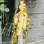 Mùa Xuân 2024 Organza Cắt Hoa Khăn Thêu Lá Lụa Khăn Nữ Mỏng Dài Phù Hợp Với Gạc Khăn Choàng 6.21