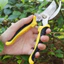 【24H】Kéo tỉa cành chống trượt tiết kiệm sức lực, tay cầm ergonomic thoải mái, phù hợp cho công việc làm vườn lâu dài