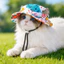 Mũ xô mùa hè cho mèo Chuyến đi bộ đường dài cuối tuần thẩm mỹ ngoài trời sành điệu & dễ thương