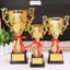 ITRUMPET Cốc Nhỏ, Giải Thưởng Cúp Vàng Mẫu Nhựa Trẻ Em, Cuộc Thi Cung Cấp Phần Thưởng Trường Học Quà Lưu Niệm Thủ Công Bóng Đá Cho Cuộc Thi Thể Thao Đội