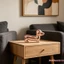 Tượng chó Disco Dachshund Trang trí gương sáng bóng Tượng chó con cho màn hình máy tính để bàn gia đình cổ điển