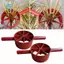 Dụng cụ cắt tre bằng thép đúc bền bỉ Công cụ hiệu quả để làm giỏ và thảm Artisan