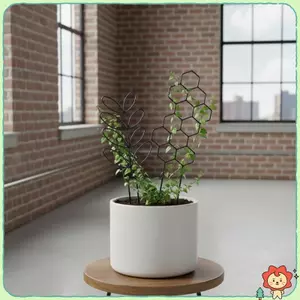 Bộ 3 Khung Hỗ Trợ Cây Để Leo Thân Cây Và Cây Nho Hỗ Trợ Thiết Kế Tiết Kiệm Không Gian Cho Khu Vườn Nhỏ