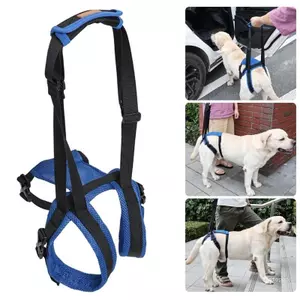 Top Có Thể Điều Chỉnh Cho Chó Phía Sau Chân Hỗ Trợ Dây Thắt Lưng Mềm Thoáng Khí Polyester Huy Động Viện Trợ Cho Người Cao Tuổi Bị Thương Người Khuyết Tật P