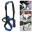 Top Có Thể Điều Chỉnh Cho Chó Phía Sau Chân Hỗ Trợ Dây Thắt Lưng Mềm Thoáng Khí Polyester Huy Động Viện Trợ Cho Người Cao Tuổi Bị Thương Người Khuyết Tật P