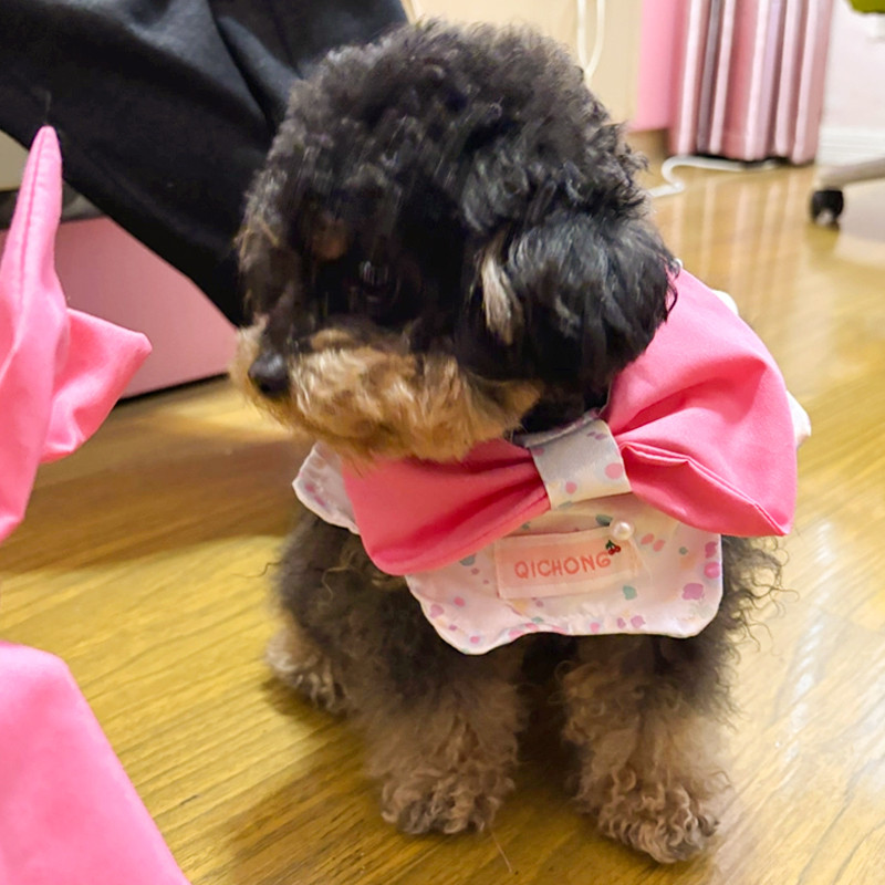 [Pet-Eleven] Khăn nước bọt cánh hoa cho thú cưng Yếm có thể điều chỉnh đàn hồi Yếm thú cưng Yếm mèo Yếm chó Yếm lễ hội Khăn nước bọt cho thú cưng Khăn thủ công cho chó lớn Chó con mèo