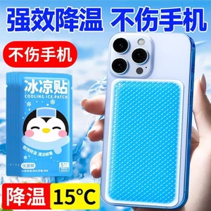 Nhãn dán làm mát và làm mát điện thoại di động băng lạnh ngoài trời mwiuwyw1.my20251012