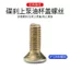 Xe Điện Phanh Đĩa Bơm Dầu Cốc Vít Phanh Bơm Dầu Cốc Nắp Vít Phillips Cố Định Vít Đầu Phẳng 4M12mm LRU1