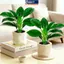MAKY Mini Tự Tưới Hoa Nồi Cá Nhựa Chậu Cây Tự Tưới Cây Chậu Bình Để Trang Trí Nhà Cửa VN