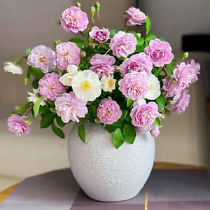 Bình Hoa Gốm Sứ Bát Tràng Dáng Âu Tròn Cao 16cm Cắm Hoa Decor Bàn Làm Việc Màu Pastel GomdecorTSC