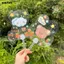 SMILE 6 Chiếc Quạt Graffiti, Quạt Cầm Tay Trong Suốt Làm Dày Bằng Nhựa, Sáng Tạo DIY Doodle Trống Trong Suốt DIY Trống Quạt Trống Dự Án Thủ Công