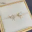 LUImo Thời Trang Dễ Thương Hoa Cánh Tiên Bông Tai Dành Cho Nữ Cô Gái Thiết Kế Zircon Cổ Tích Tinh Tế Bông Tai Trang Sức SBS