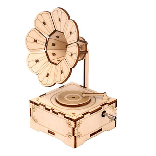 Trẻ em diy Ferris Bánh Xe Hộp Nhạc Piano Lắp Ráp Hộp Nhạc Merry-go-round Gỗ Handmade Xếp Hình Đồ Chơi